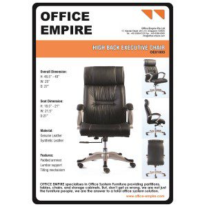 American Office Furniture office fuiture singapore office chairs singapore oe01003