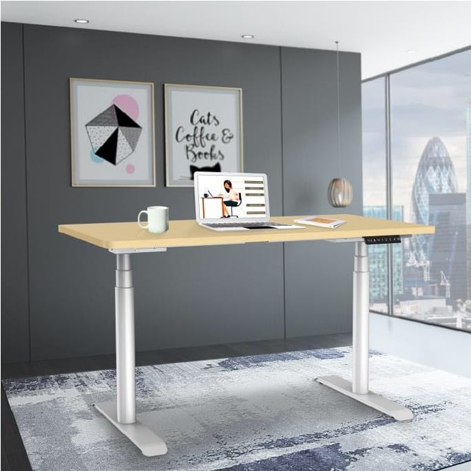 Dual Motor adjustable height table height adjustable table office