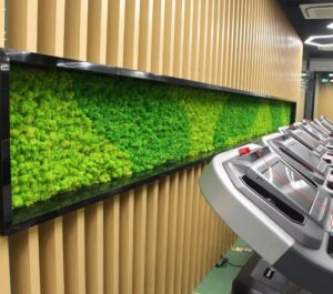 indoor preserved moss wall